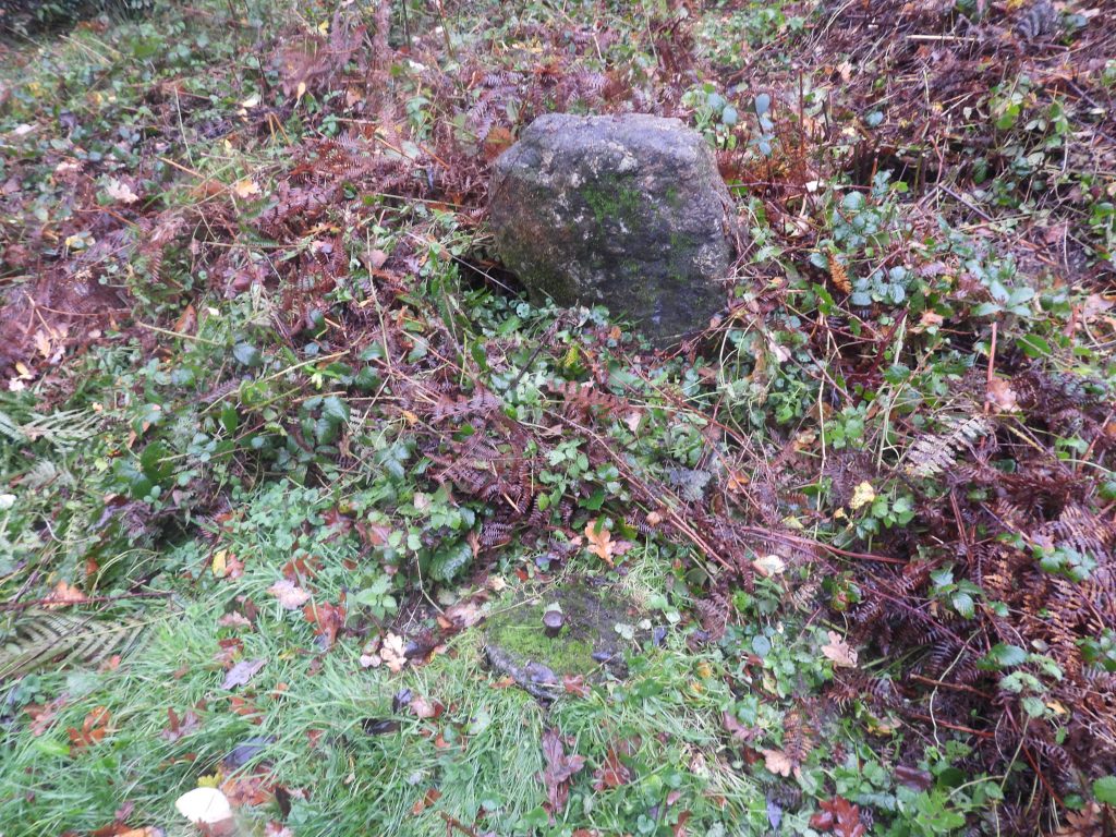 22. Rivet by entrance to Middle Adit used for the mine plan survey