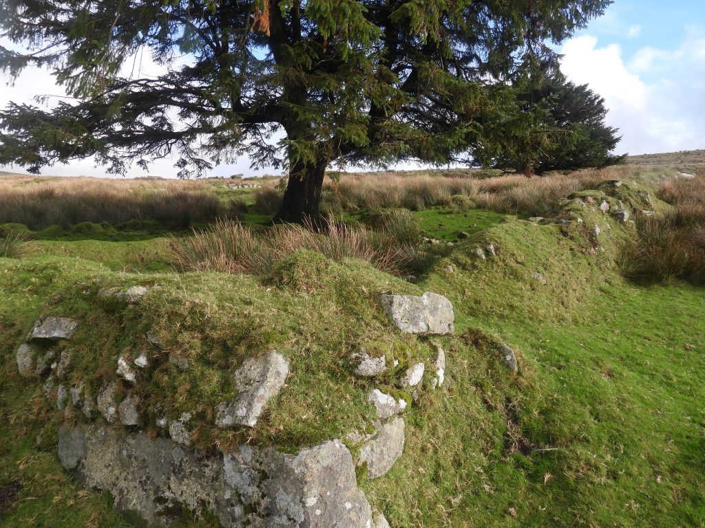 23a. South west corner of gardens