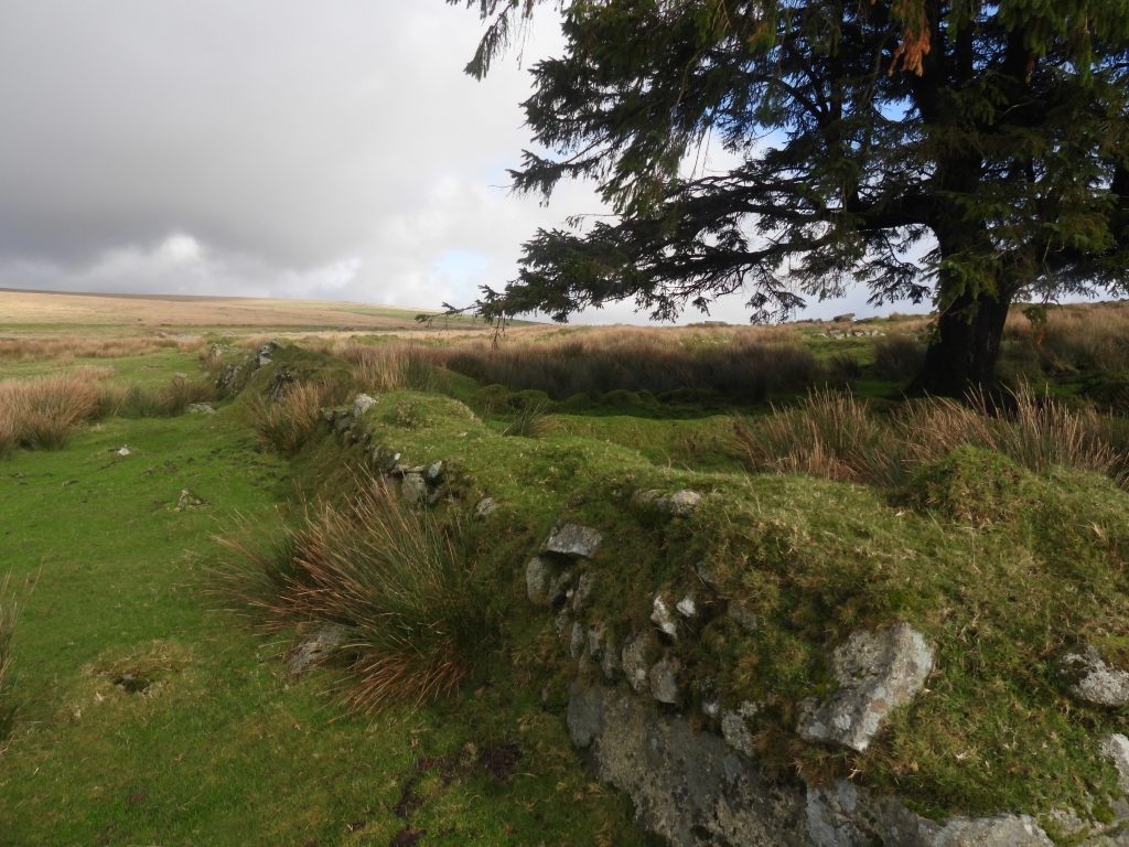 23b. South west corner of gardens