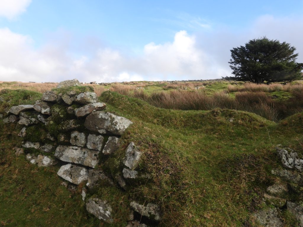 24. Rear of Garden 9&10