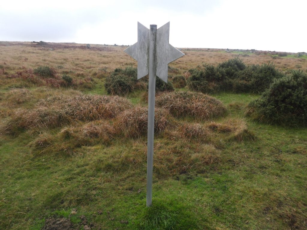 25. Shaugh Moor Star a