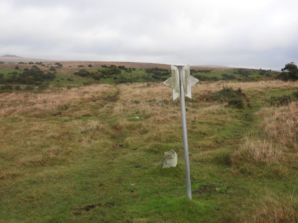 25. Shaugh Moor Star b