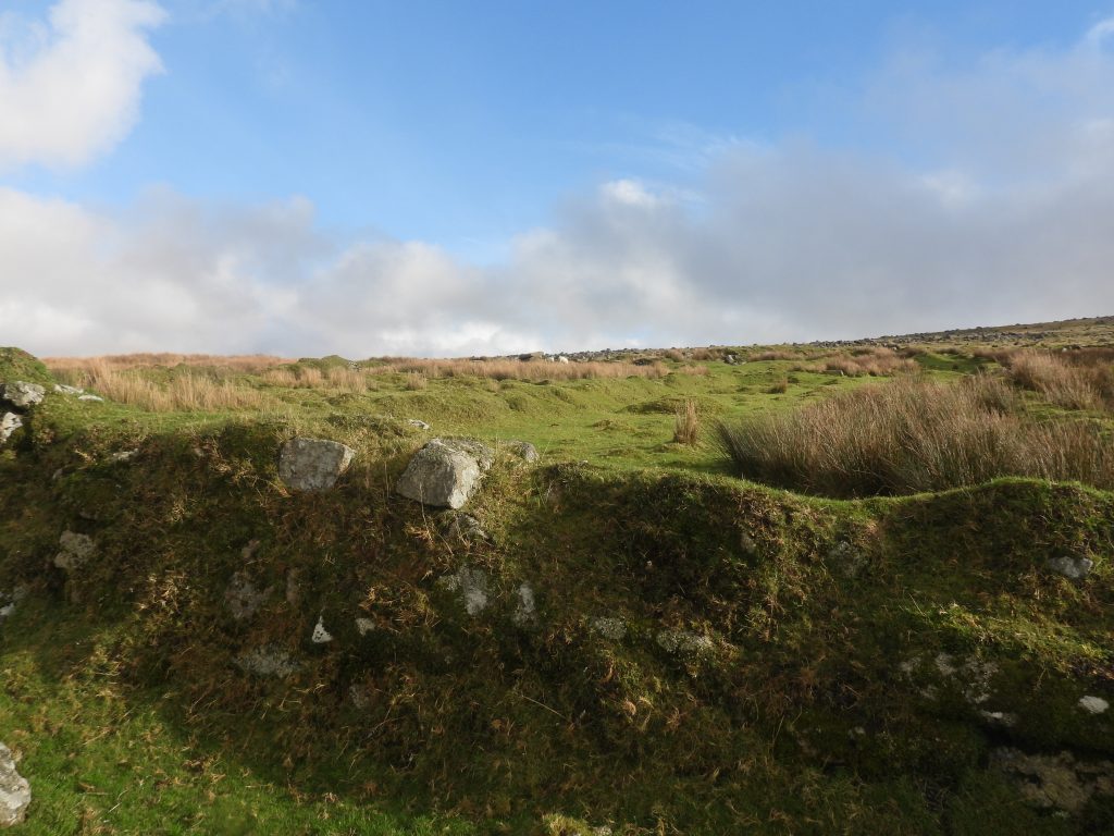 26. Rear of Garden 5&6