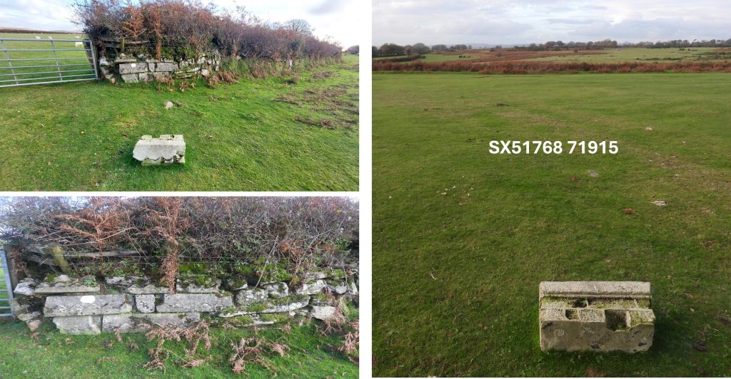 29. Gate and Walling