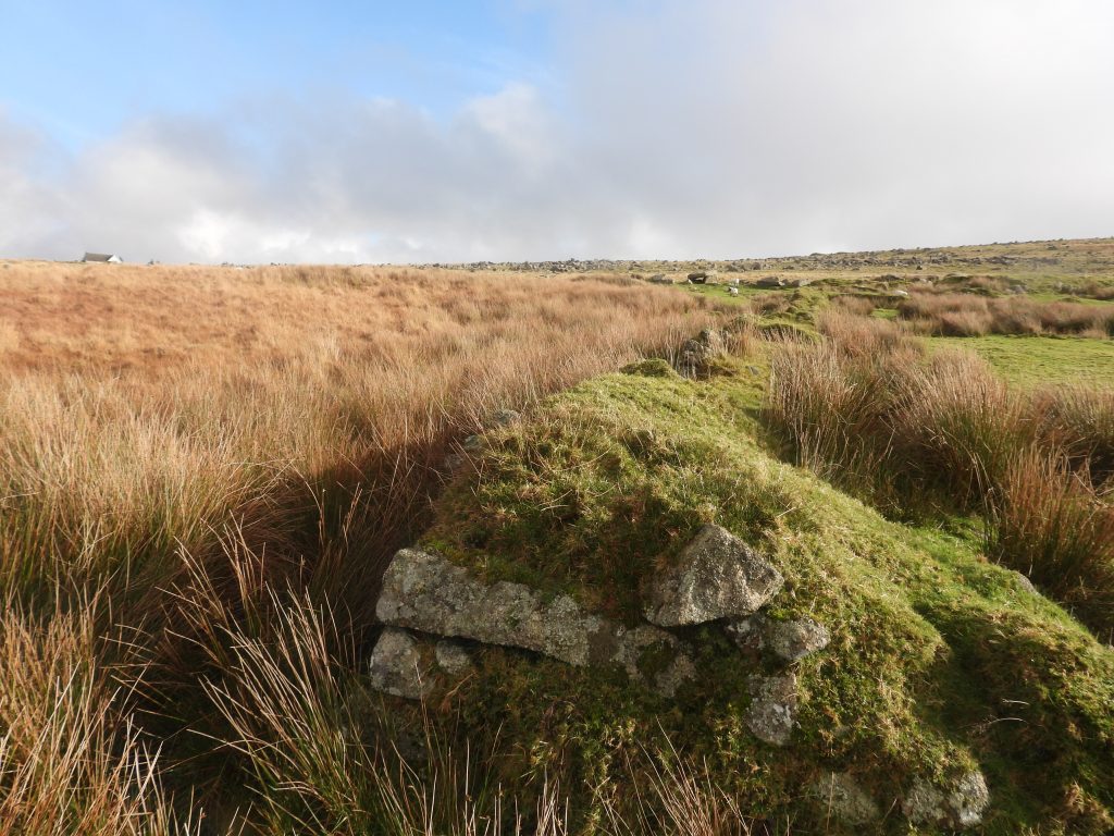 29. North west corner