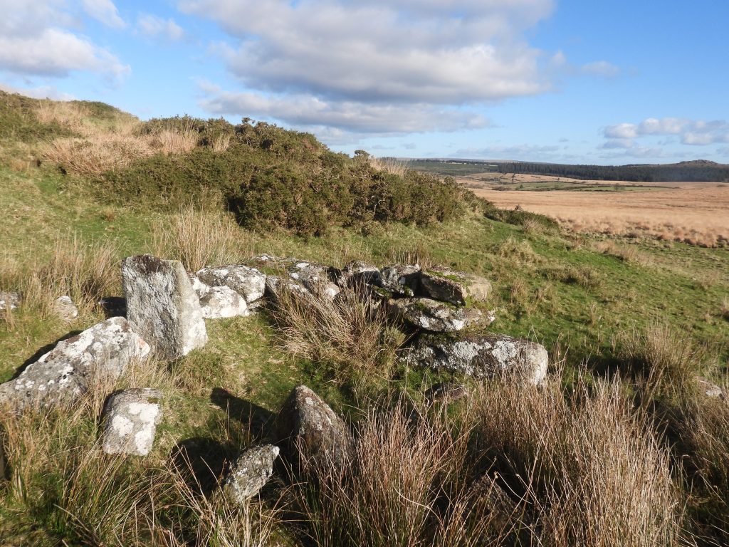 3b. Littaford Cottage - possible fireplace