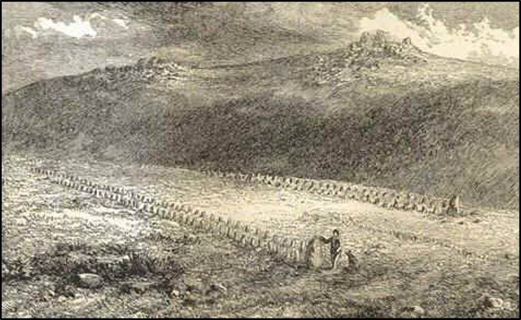 5. Stone Row Avenues by Page a