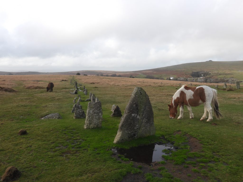 5. Stone Row south a