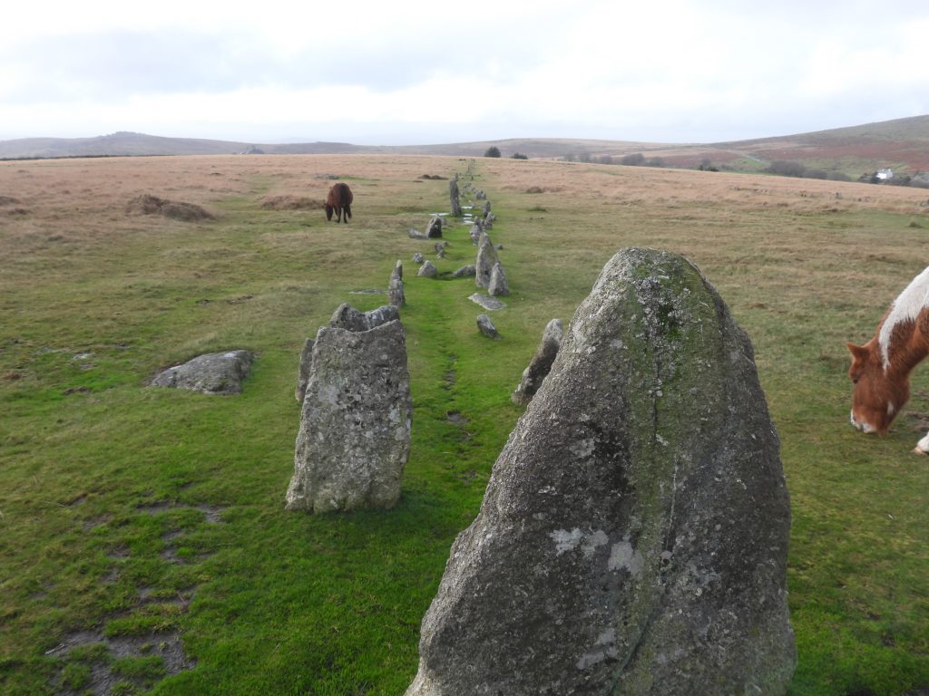 5. Stone Row south b