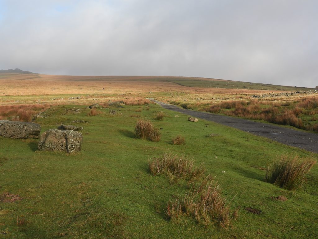 7. Cottages from the south