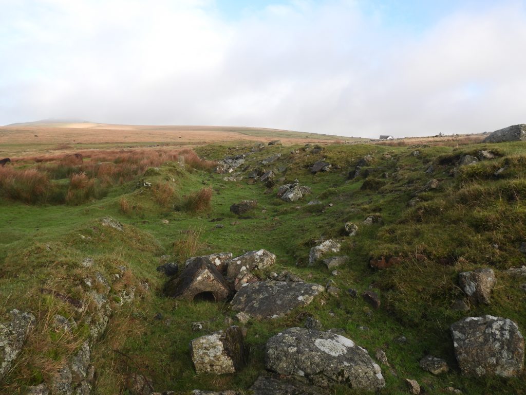 8. Gap between Cottages and Gardens south