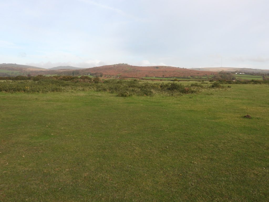 8g. Just north of the Leat 2