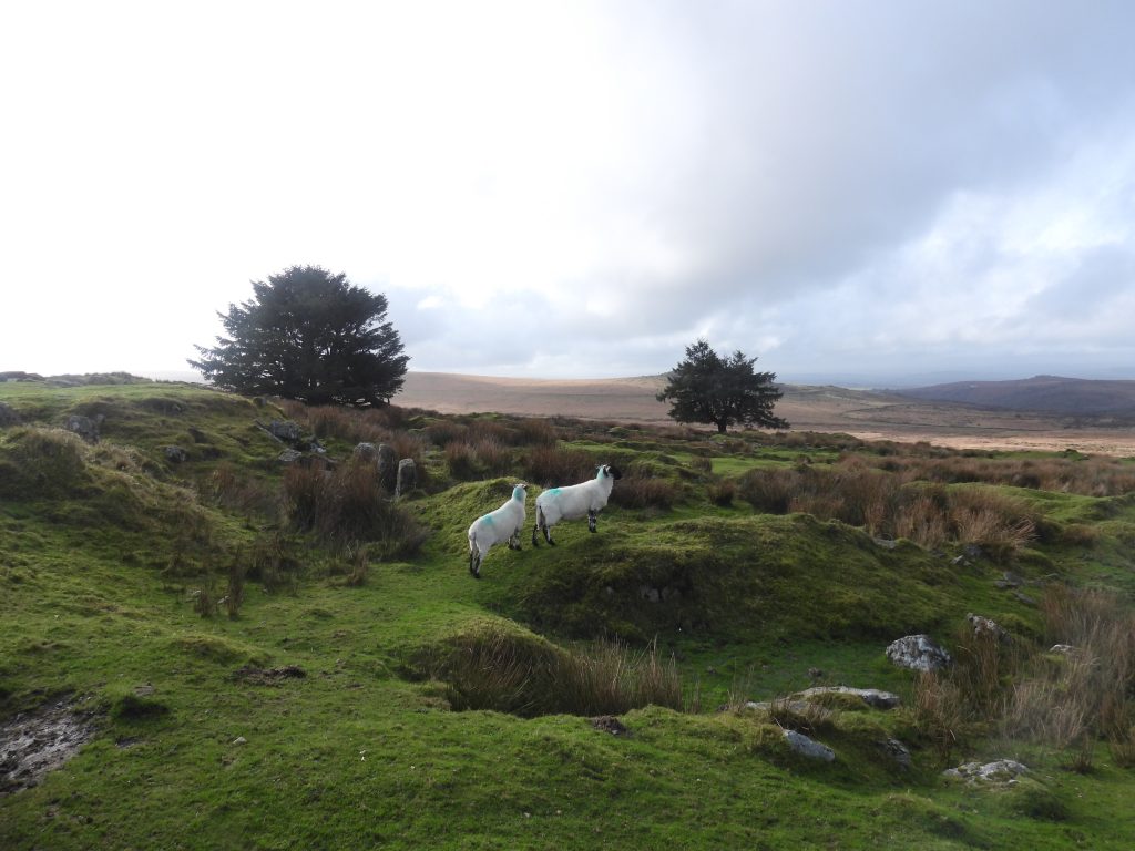9a. North East end of Red Cottages Gardens