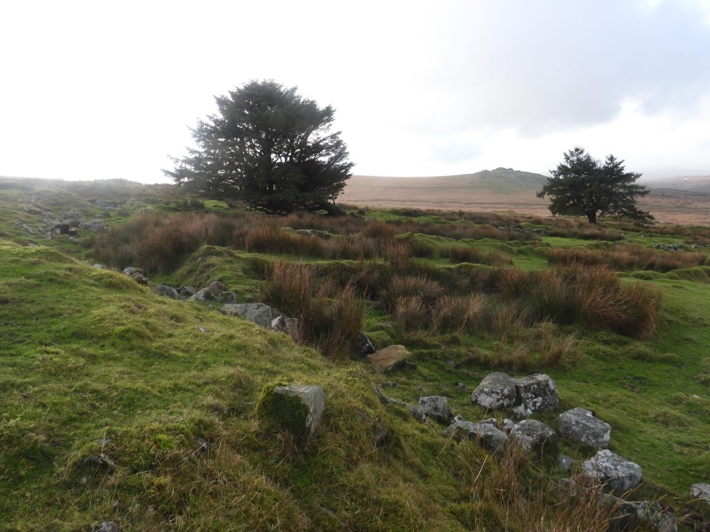 9b. North East end of Red Cottages Gardens