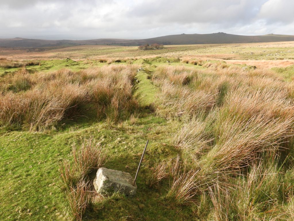 9c. Concrete section NE corner of Gardens