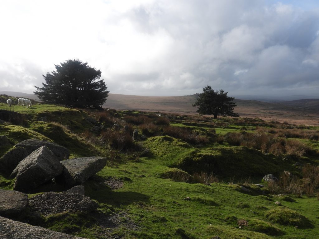 1b. Gap between Cottages and Gardens north