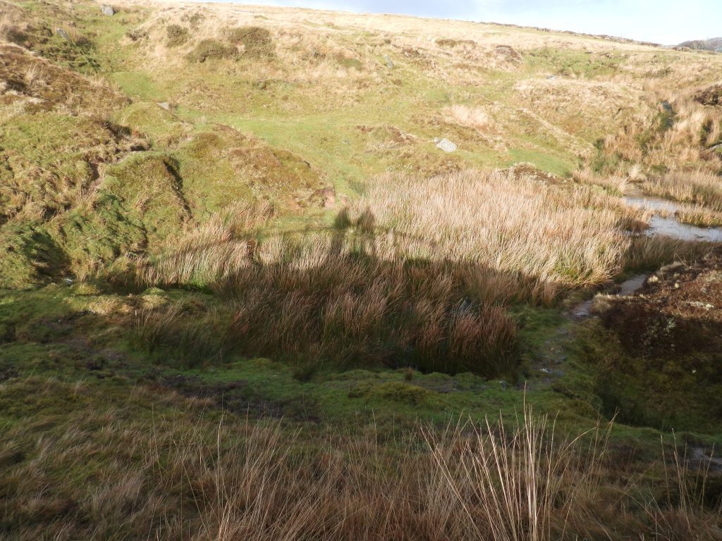 10c. Shadows and Shaft 10