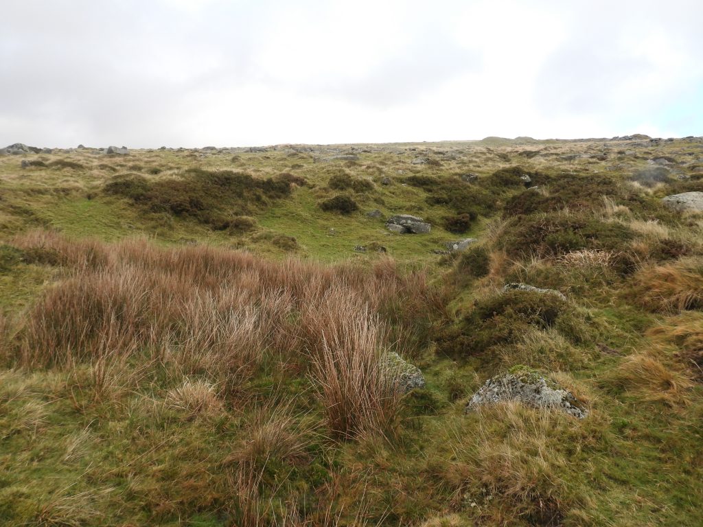 10c. Un-named Quarry by Yellowmeade Farm