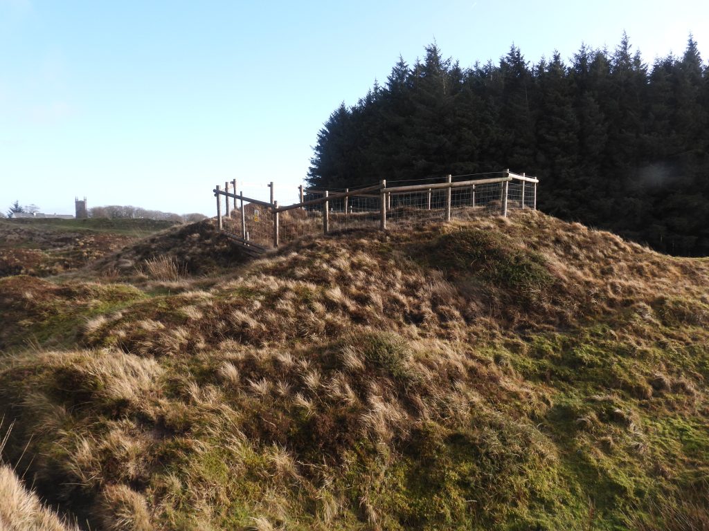 11a. Shaft 9 - SX58400 73510