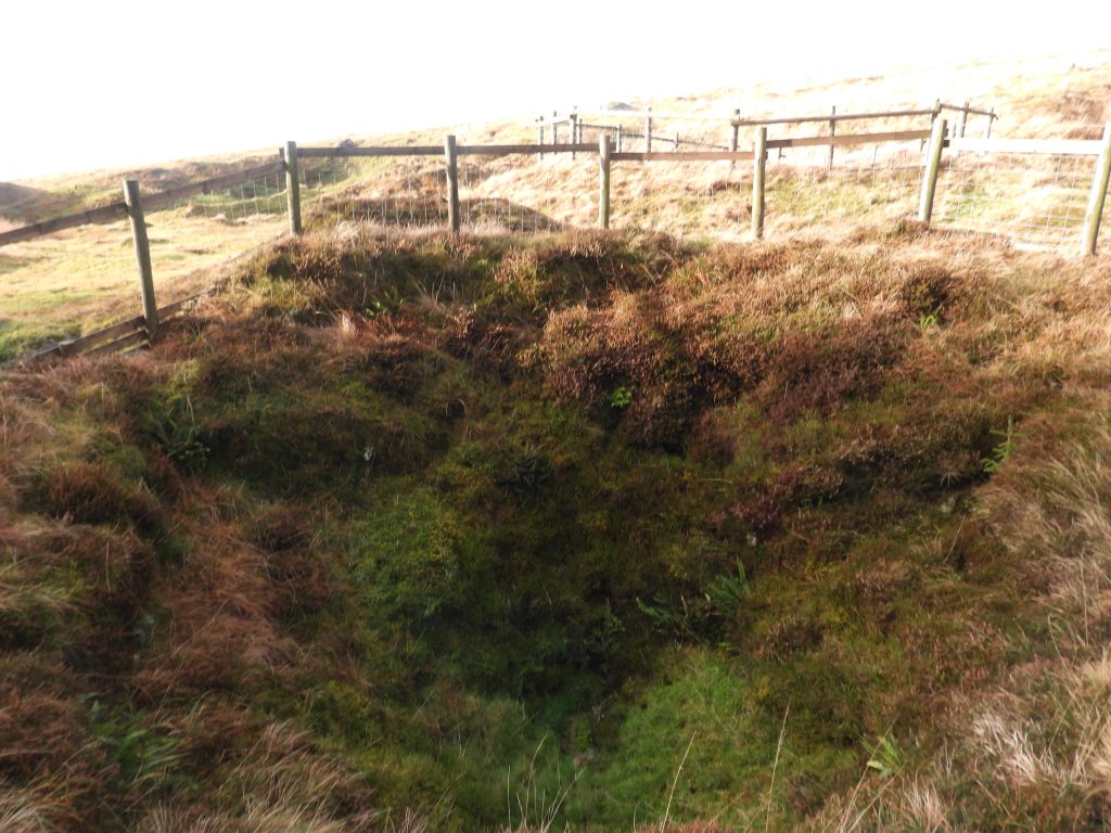 12. Shaft 8 - SX58420 73513