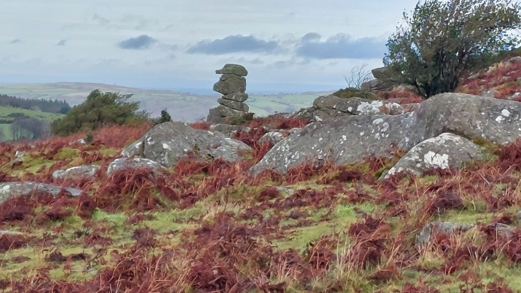 14a. Bowerman's Nose