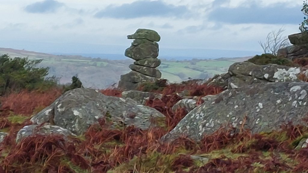 14b. Bowerman's Nose