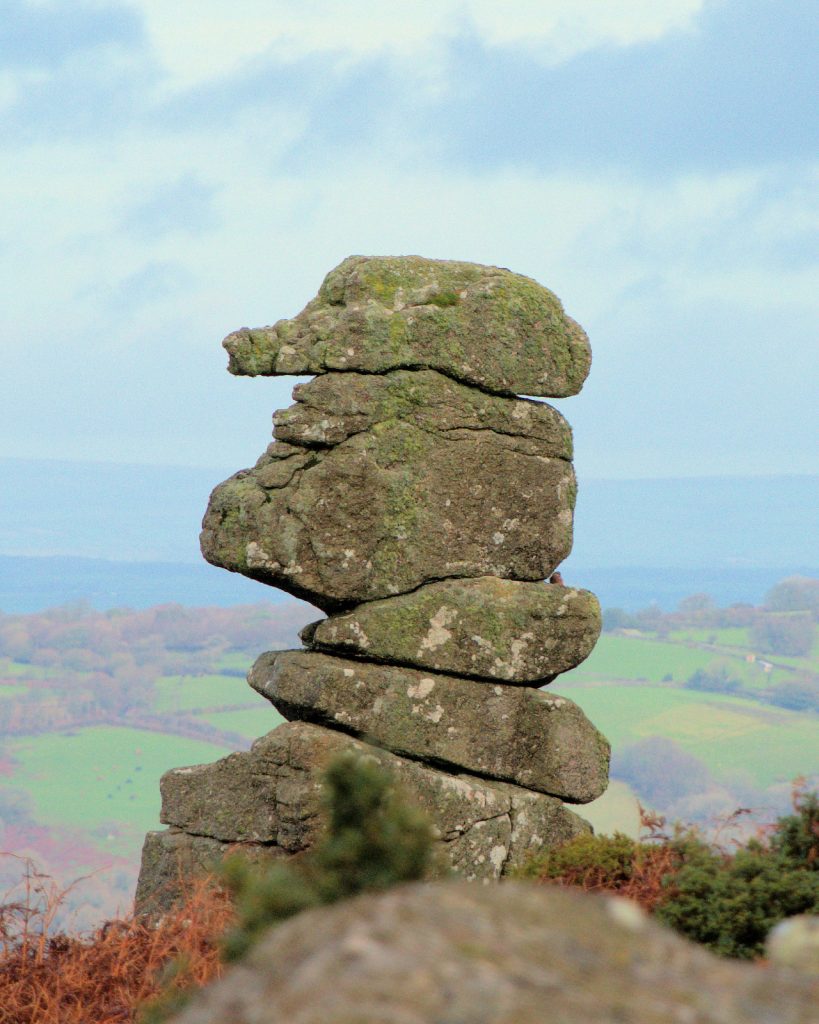 14c. Bowerman's Nose