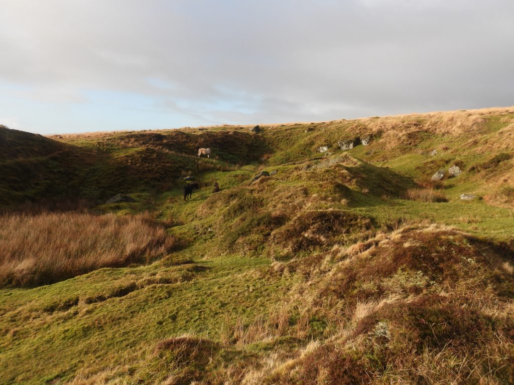 15a. Poines by Shaft 5