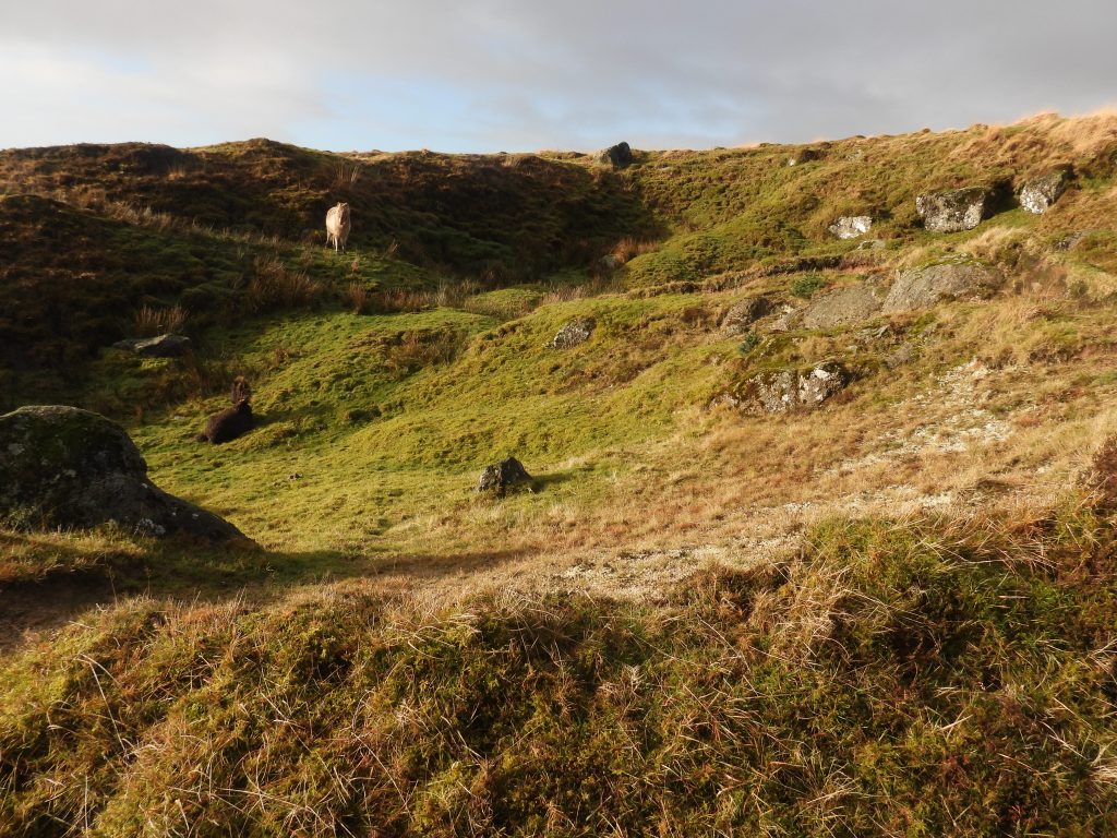 15b. Shaft 5 - SX58374 73476