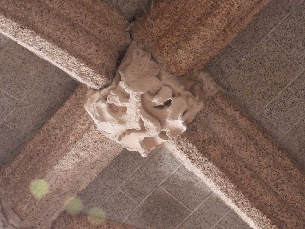 16a. Miscellaneous Boss