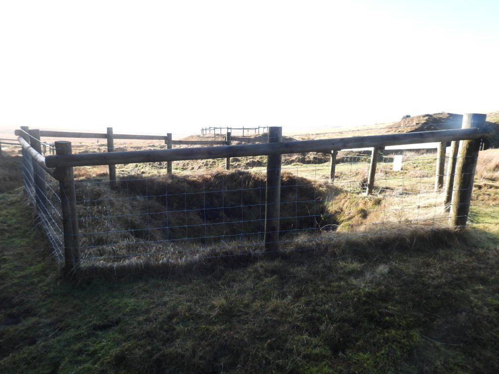 16c. Shaft 4 with Shaft 1 beyond