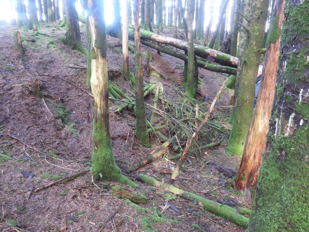 17b. Building  -SX58461 73466