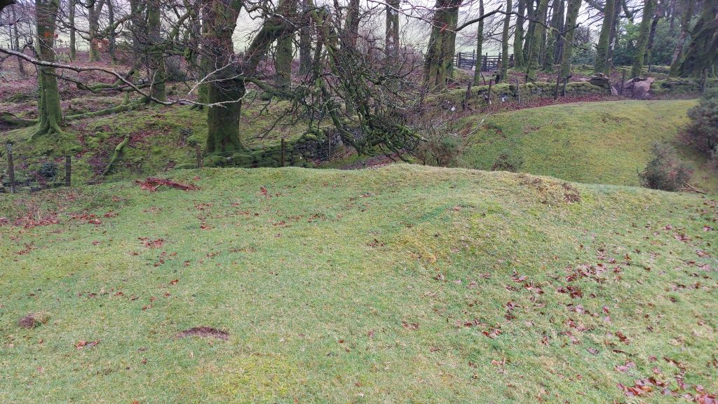 19. Mystery Building