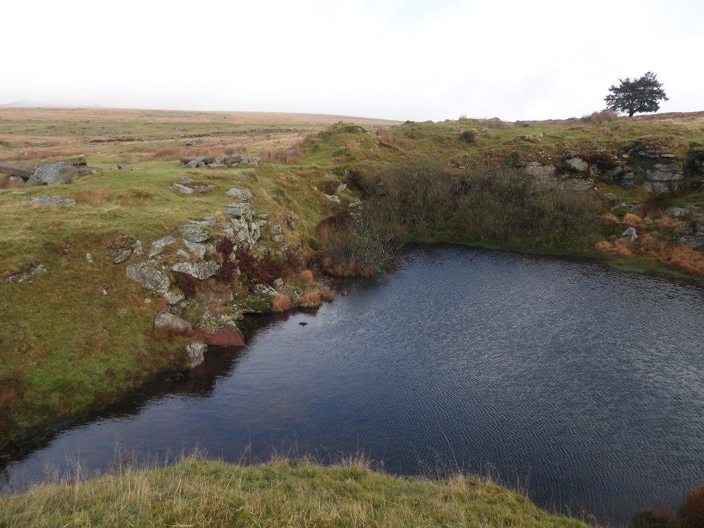 2. West Mead Quarry d