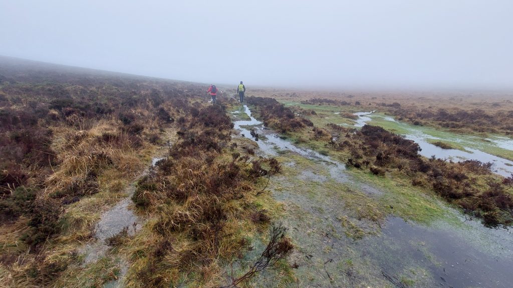 21. North side of Hamel Down