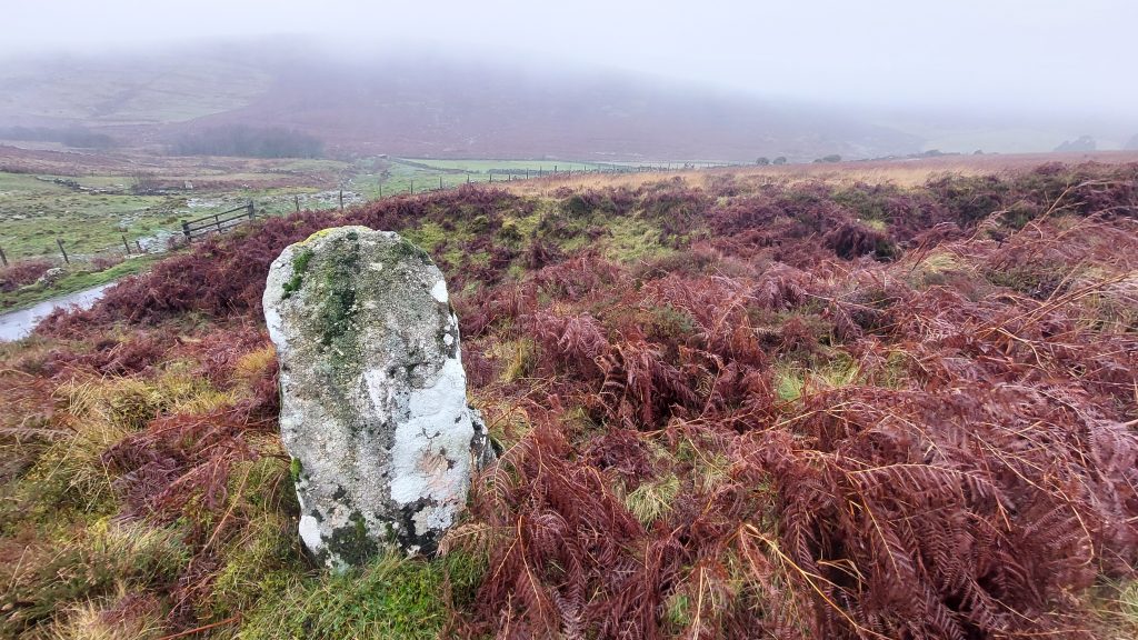 23. BS below Firth Bridge