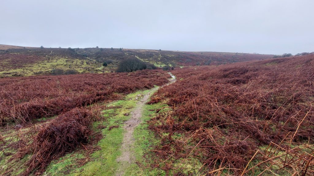 25b. Descending into Redwater Valley