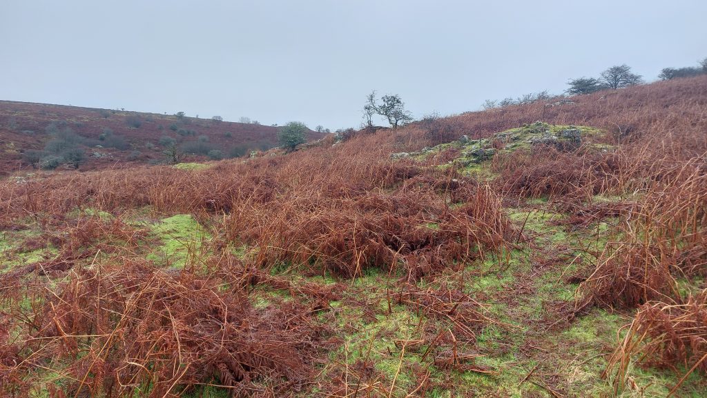 26a. Birch Tor and Vitifer Mine Building