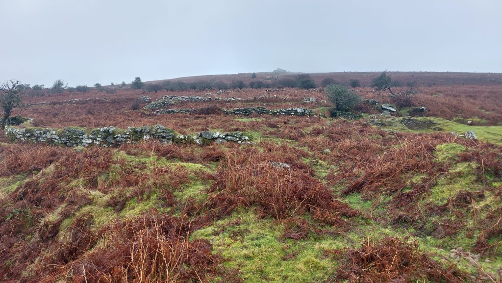 26b. Birch Tor and Vitifer Mine Building