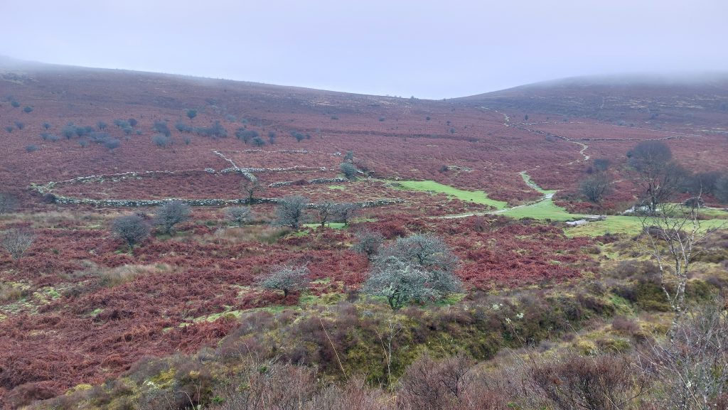 26c. Birch Tor and Vitifer Mine Building