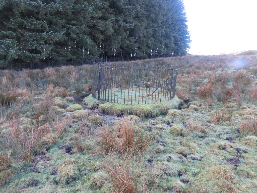 2g. Rain Gauge south - SX58525 73549