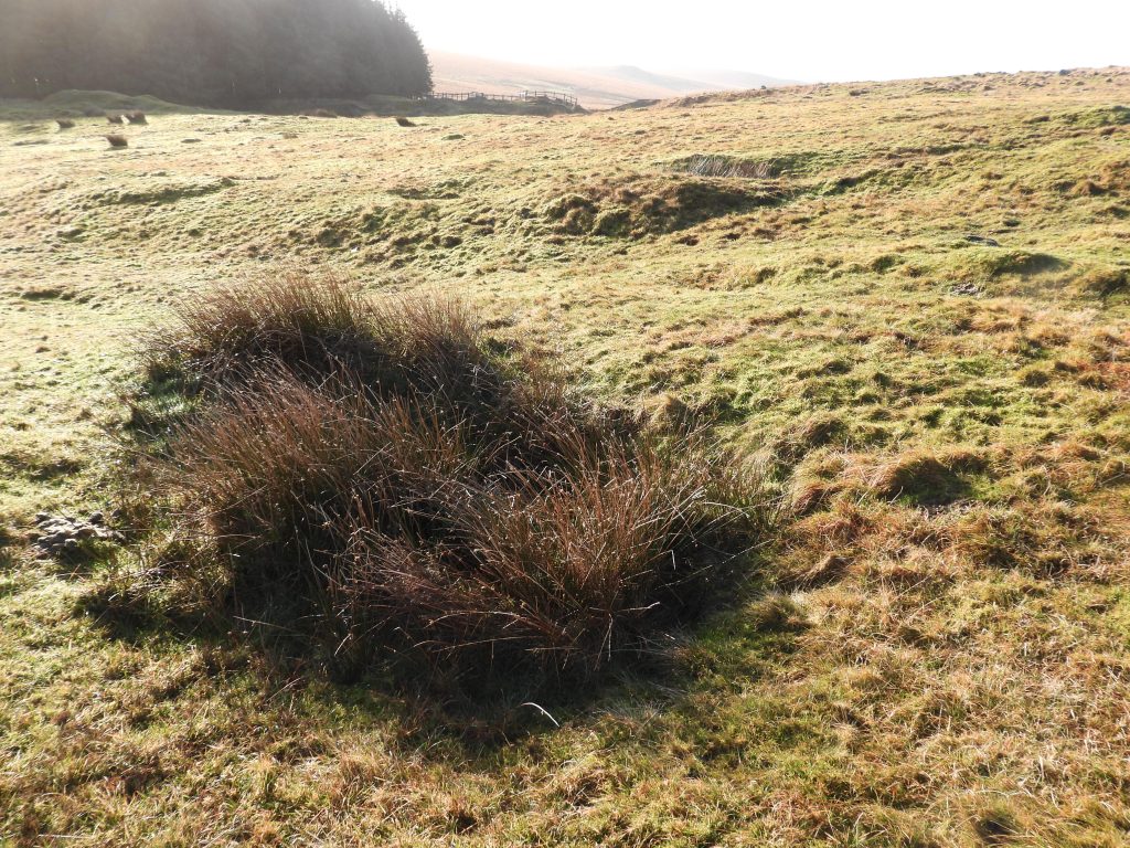 3a. Trial Shaft SX58413 73651