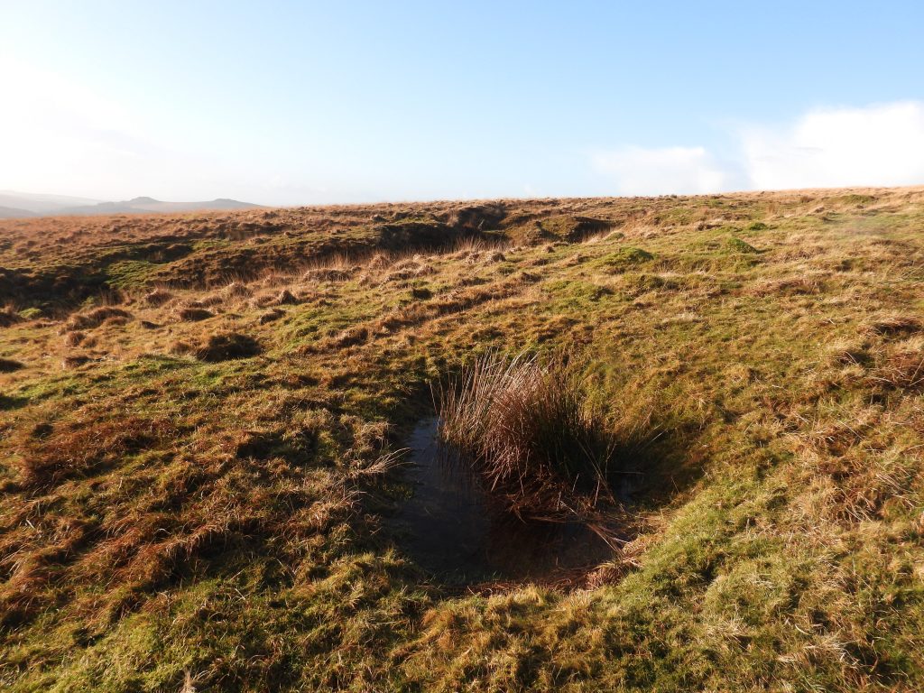 3f. Trial Shaft SX58331 73657