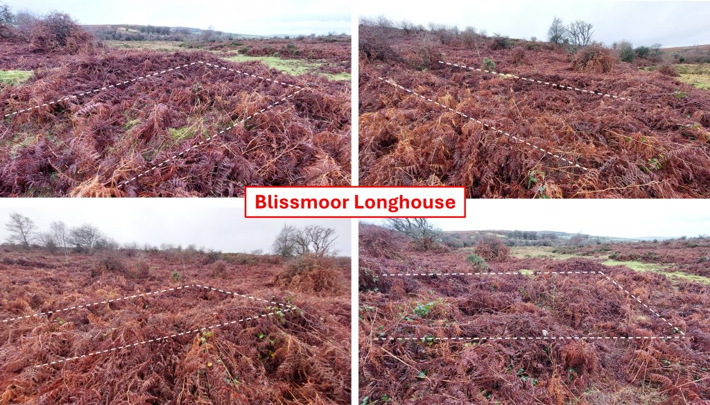 4. Blissmoor 2