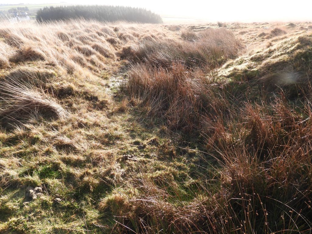 4c. Tinners Reservoir