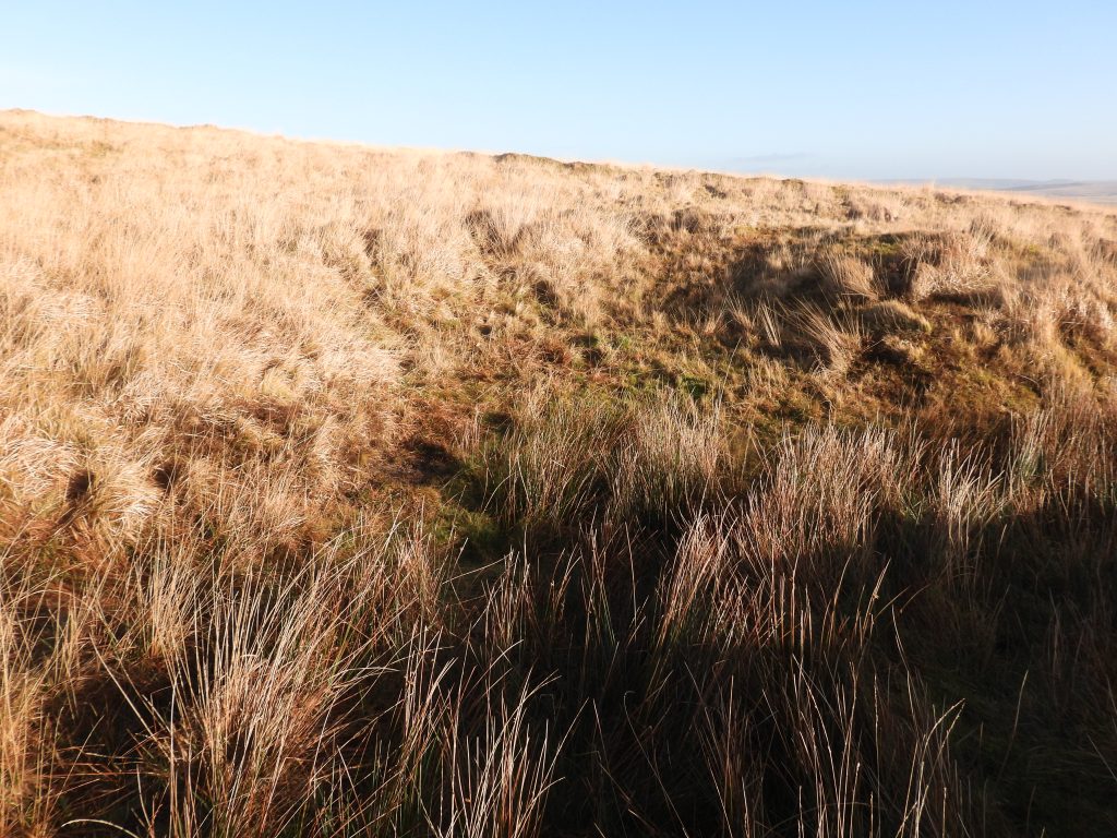 4d. Tinners Reservoir