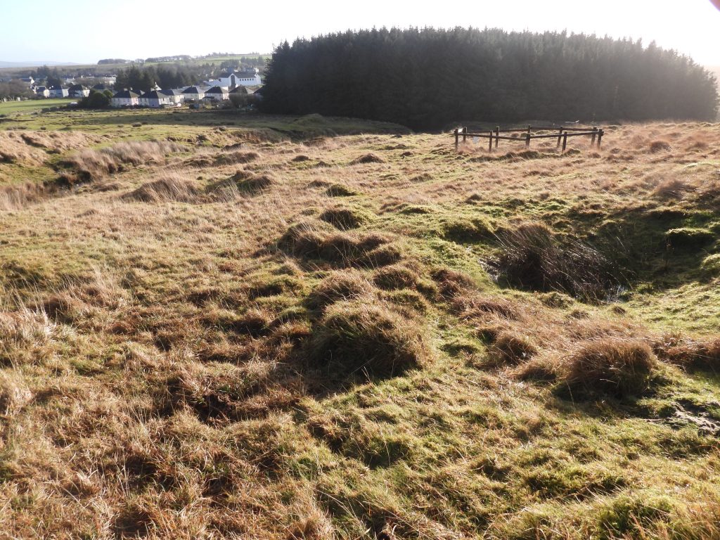 7. Top of shaft area