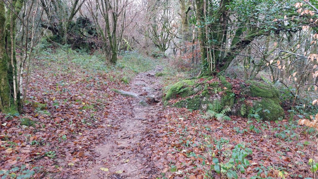 7a. Climbing Hayne Down