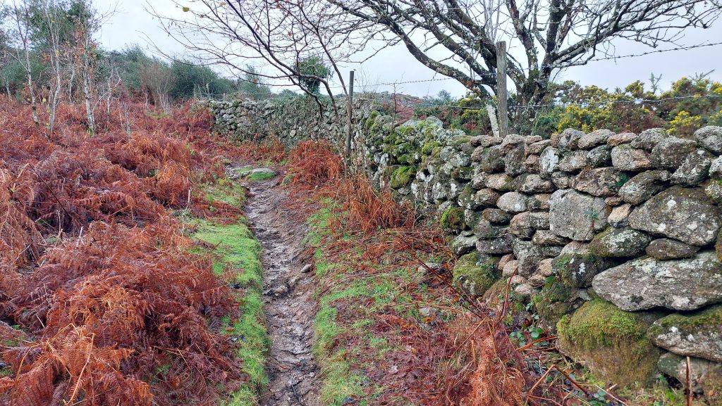 7b. Climbing Hayne Down