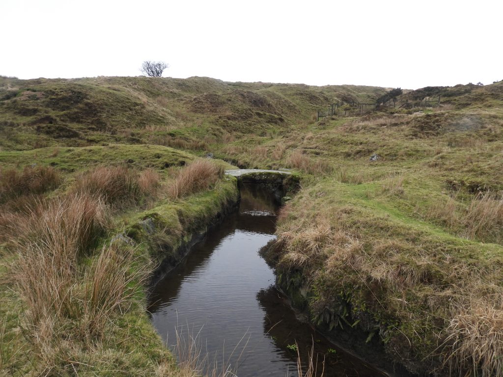 8. Devonport Leat